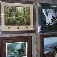 Picture Wall - Bears